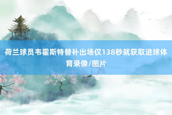 荷兰球员韦霍斯特替补出场仅138秒就获取进球体育录像/图片