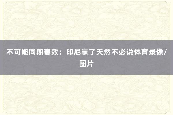 不可能同期奏效：印尼赢了天然不必说体育录像/图片