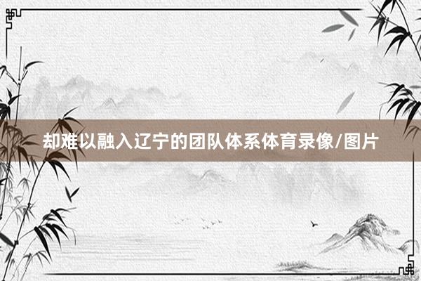 却难以融入辽宁的团队体系体育录像/图片