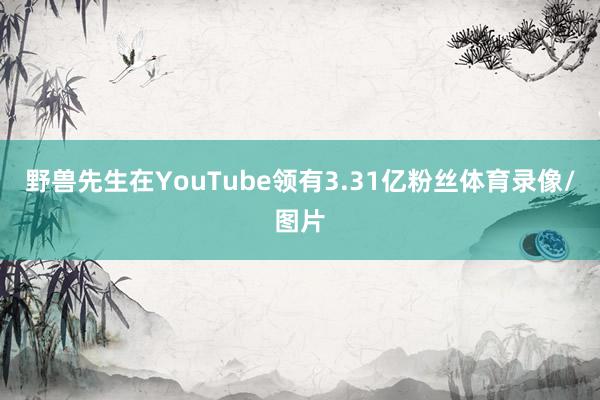 野兽先生在YouTube领有3.31亿粉丝体育录像/图片