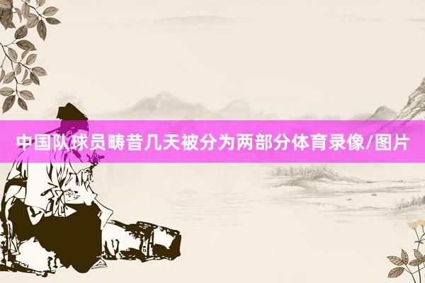 中国队球员畴昔几天被分为两部分体育录像/图片