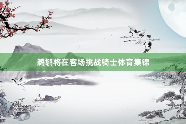 鹈鹕将在客场挑战骑士体育集锦