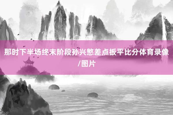 那时下半场终末阶段孙兴慜差点扳平比分体育录像/图片