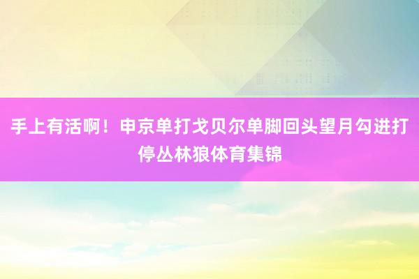 手上有活啊！申京单打戈贝尔单脚回头望月勾进打停丛林狼体育集锦