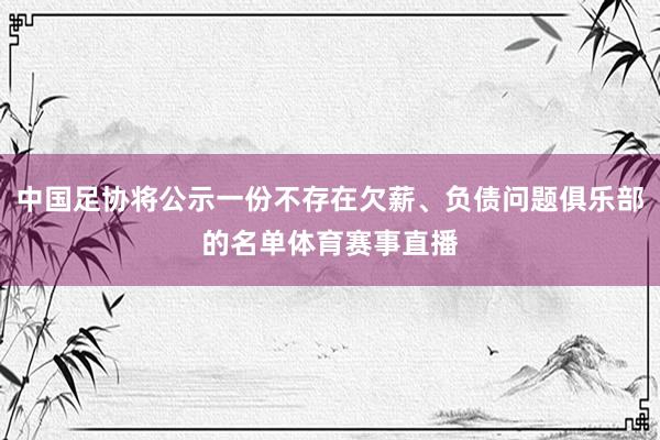 中国足协将公示一份不存在欠薪、负债问题俱乐部的名单体育赛事直播