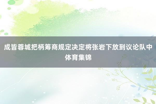 成皆蓉城把柄筹商规定决定将张岩下放到议论队中体育集锦