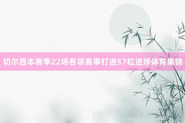 切尔西本赛季22场各项赛事打进57粒进球体育集锦