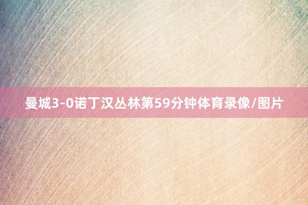 曼城3-0诺丁汉丛林第59分钟体育录像/图片