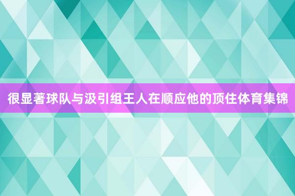 很显著球队与汲引组王人在顺应他的顶住体育集锦