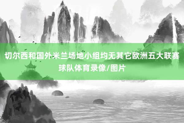 切尔西和国外米兰场地小组均无其它欧洲五大联赛球队体育录像/图片