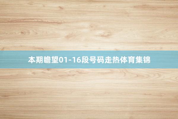 本期瞻望01-16段号码走热体育集锦