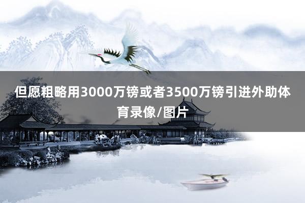 但愿粗略用3000万镑或者3500万镑引进外助体育录像/图片