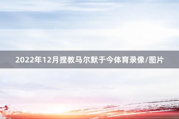 2022年12月捏教马尔默于今体育录像/图片