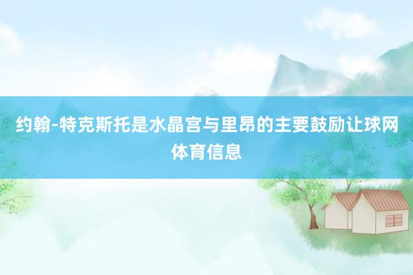 约翰-特克斯托是水晶宫与里昂的主要鼓励让球网体育信息