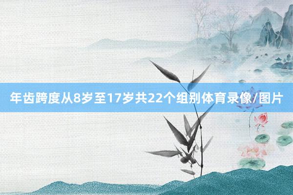 年齿跨度从8岁至17岁共22个组别体育录像/图片