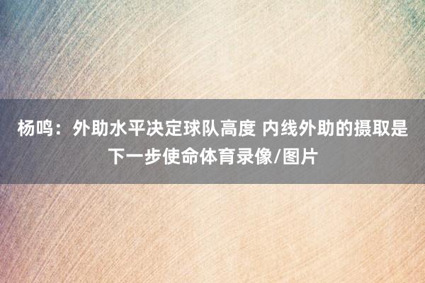 杨鸣：外助水平决定球队高度 内线外助的摄取是下一步使命体育录像/图片