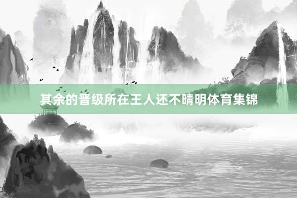 其余的晋级所在王人还不晴明体育集锦