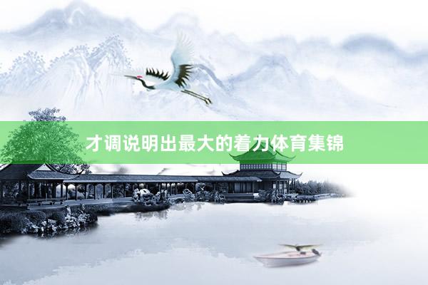 才调说明出最大的着力体育集锦