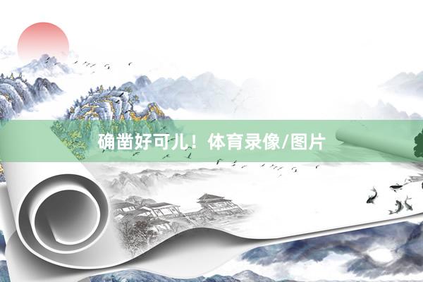 确凿好可儿！体育录像/图片