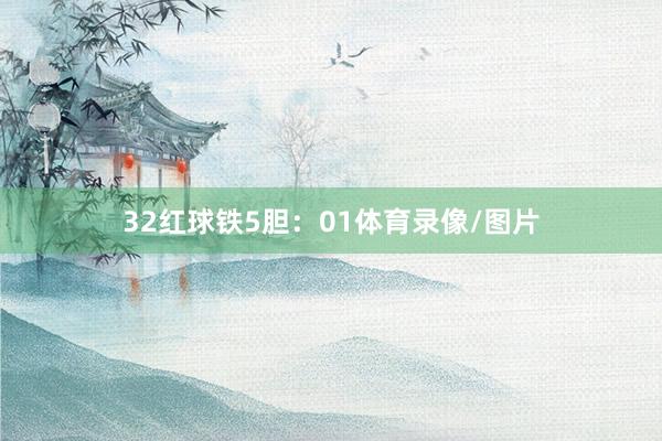32　　红球铁5胆：01体育录像/图片