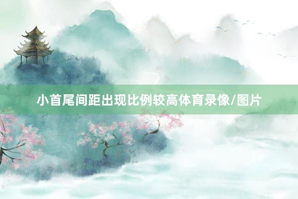 小首尾间距出现比例较高体育录像/图片