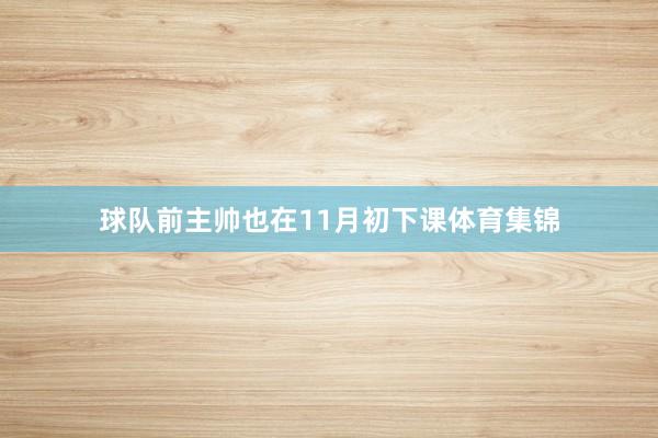 球队前主帅也在11月初下课体育集锦