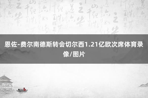 恩佐-费尔南德斯转会切尔西1.21亿欧次席体育录像/图片