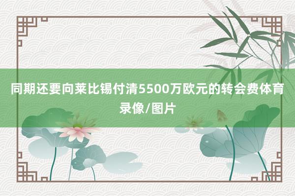 同期还要向莱比锡付清5500万欧元的转会费体育录像/图片