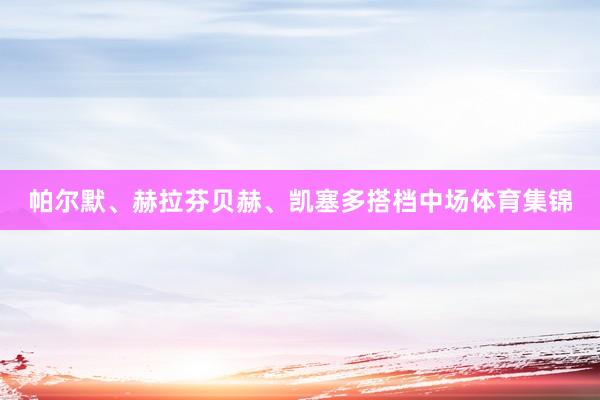 帕尔默、赫拉芬贝赫、凯塞多搭档中场体育集锦