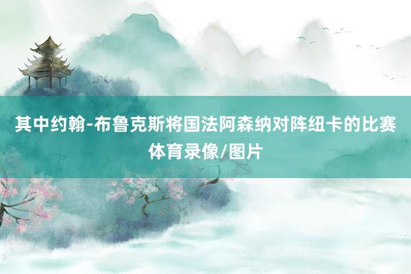 其中约翰-布鲁克斯将国法阿森纳对阵纽卡的比赛体育录像/图片