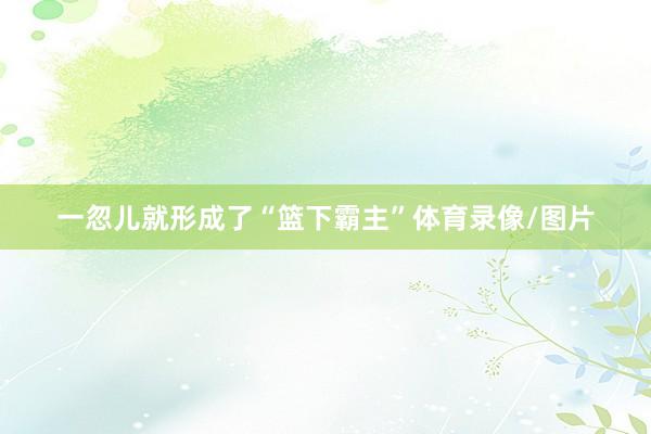 一忽儿就形成了“篮下霸主”体育录像/图片