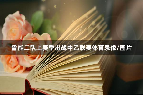 鲁能二队上赛季出战中乙联赛体育录像/图片