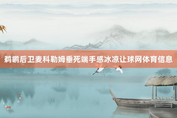 鹈鹕后卫麦科勒姆垂死端手感冰凉让球网体育信息