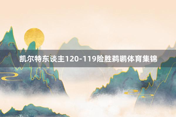 凯尔特东谈主120-119险胜鹈鹕体育集锦