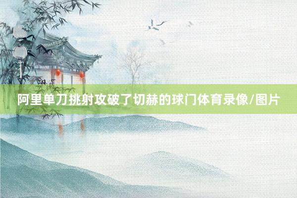 阿里单刀挑射攻破了切赫的球门体育录像/图片
