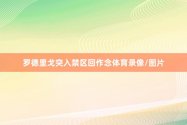 罗德里戈突入禁区回作念体育录像/图片
