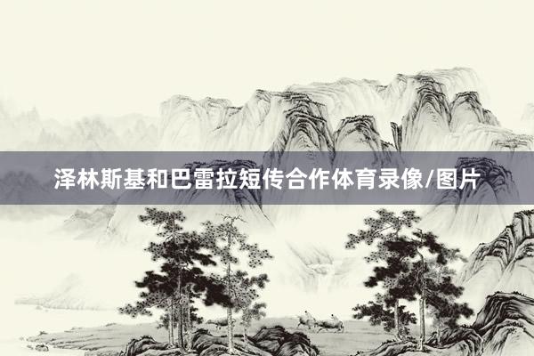 泽林斯基和巴雷拉短传合作体育录像/图片