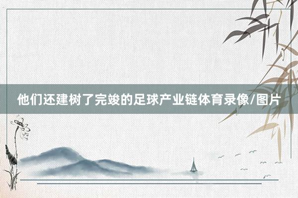 他们还建树了完竣的足球产业链体育录像/图片