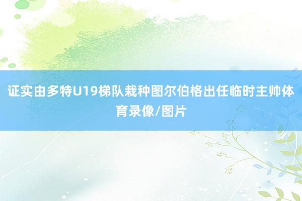 证实由多特U19梯队栽种图尔伯格出任临时主帅体育录像/图片