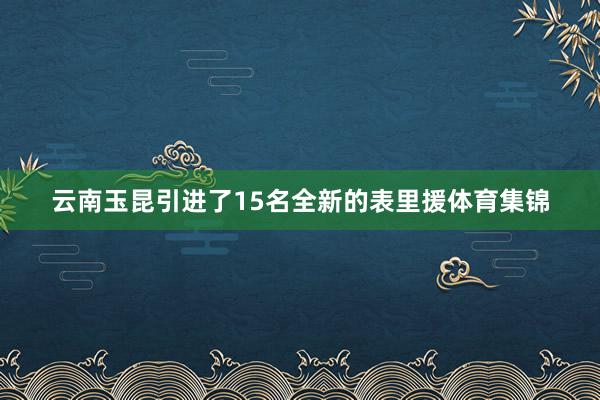 云南玉昆引进了15名全新的表里援体育集锦