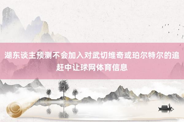 湖东谈主预测不会加入对武切维奇或珀尔特尔的追赶中让球网体育信息