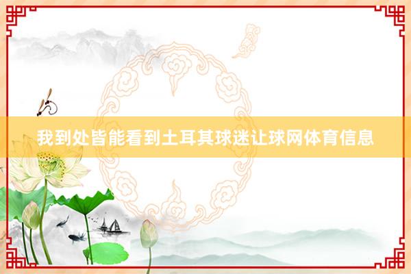 我到处皆能看到土耳其球迷让球网体育信息
