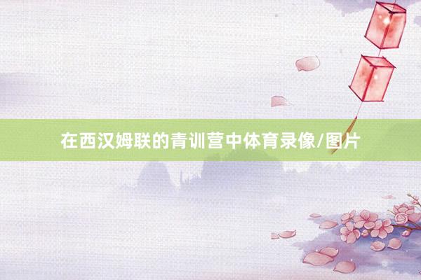 在西汉姆联的青训营中体育录像/图片