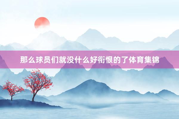 那么球员们就没什么好衔恨的了体育集锦