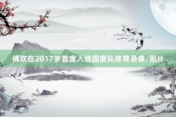 傅欢在2017岁首度入选国度队体育录像/图片