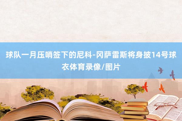 球队一月压哨签下的尼科-冈萨雷斯将身披14号球衣体育录像/图片