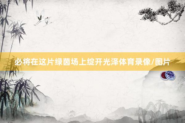 必将在这片绿茵场上绽开光泽体育录像/图片