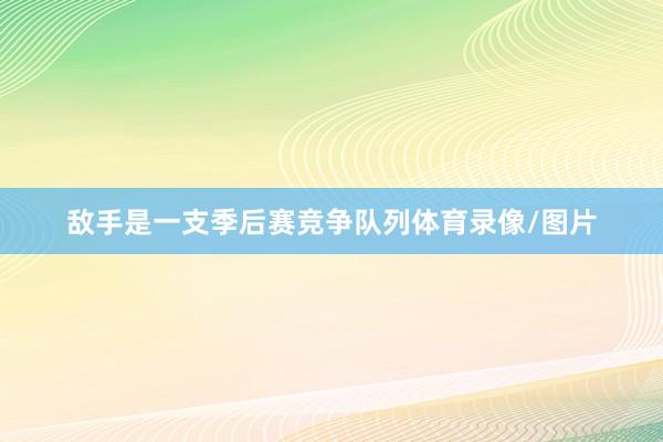 敌手是一支季后赛竞争队列体育录像/图片