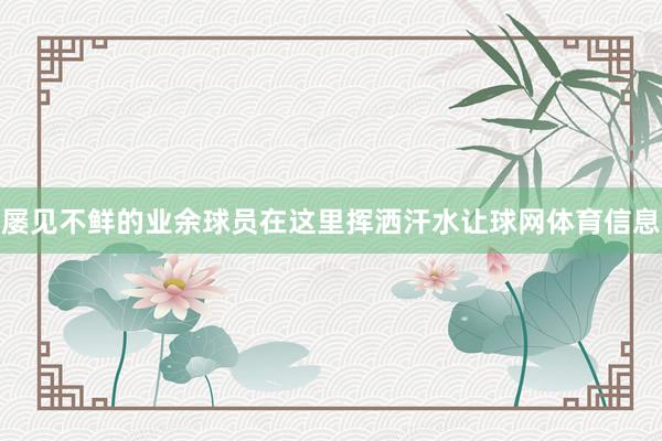 屡见不鲜的业余球员在这里挥洒汗水让球网体育信息