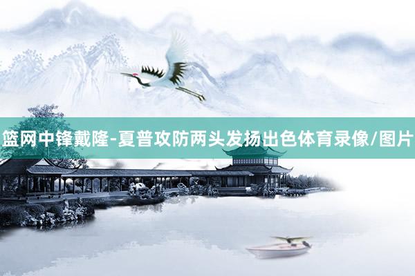 篮网中锋戴隆-夏普攻防两头发扬出色体育录像/图片